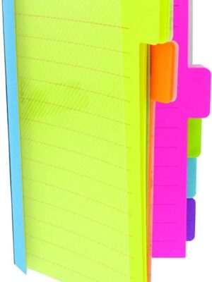 Redi-Tag Divider Sticky Notes,  4 x 6 Inches, Assorted Neon Colors (29500)