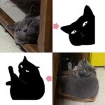 Yasest Magnetic Bookmarks - 6 Pieces