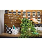 Schoolgirl Style - Polka Dot Pencil Cups, 3 Assorted Sizes